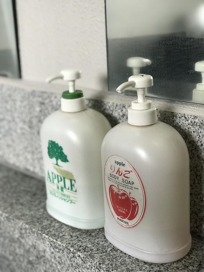 Hotel Fureai No Yado Yasuragi Nozawaonsen Zewnętrze zdjęcie